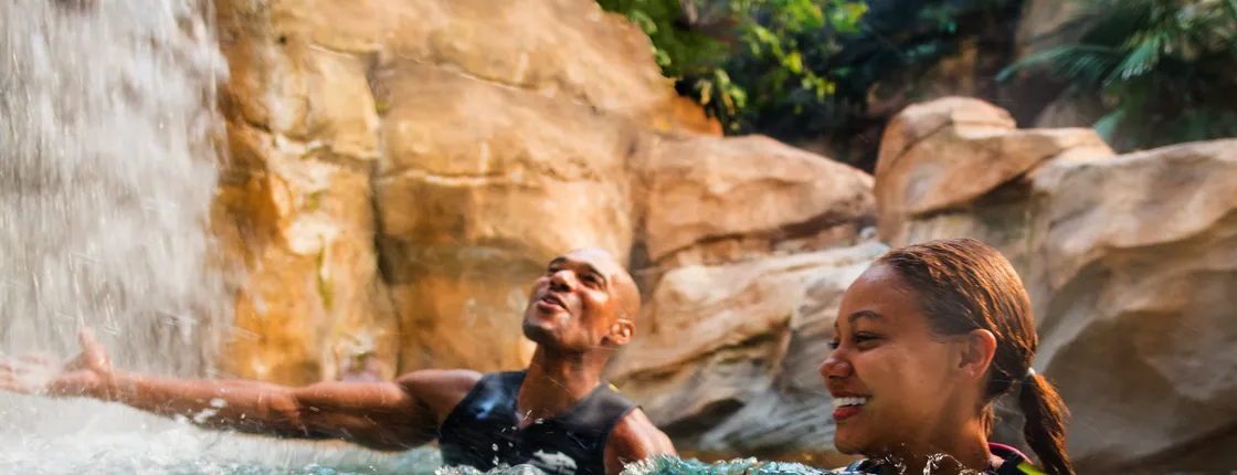 Discovery Cove Packages 2023
