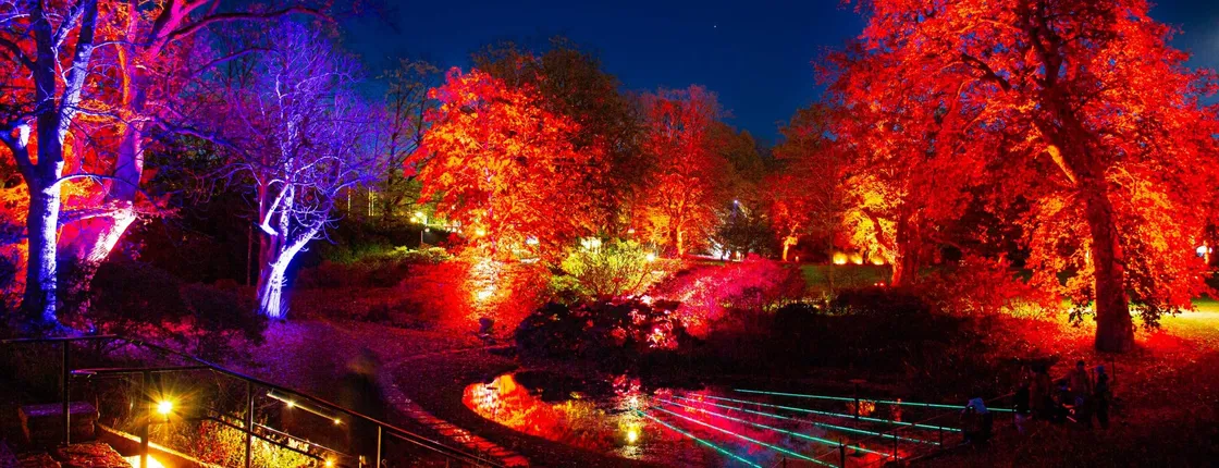 Admire the autumn lights at Sofiero Park