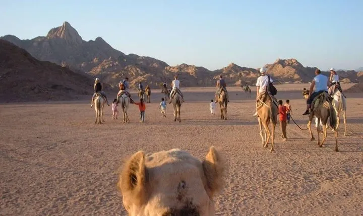Super Safari (Full day)