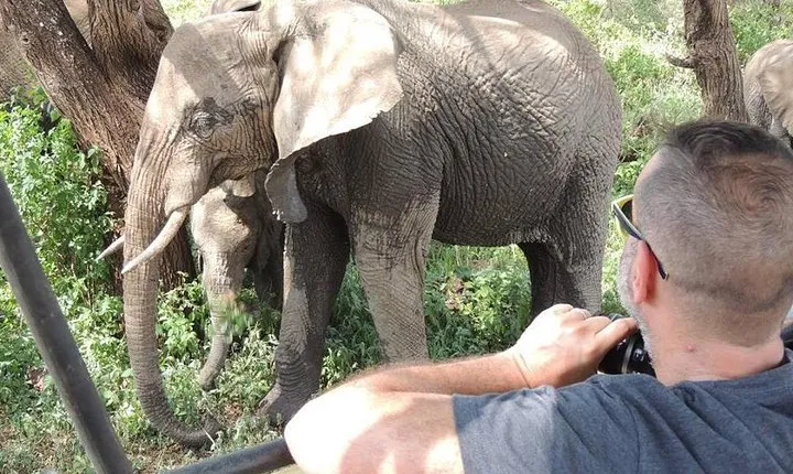 Full-Day Trip to Tarangire National Park