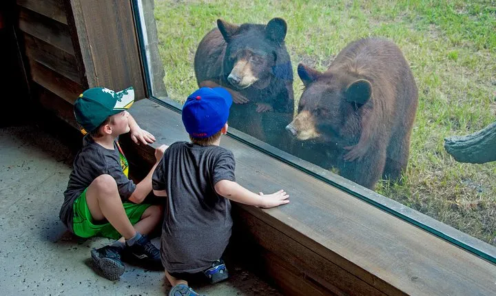 Zoo Miami Ticket with Optional Upgrade