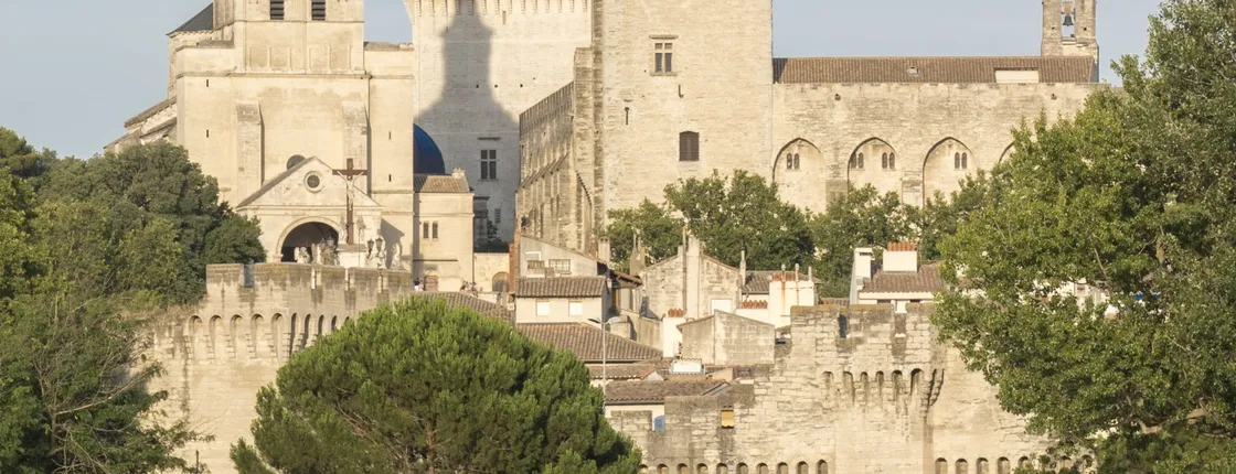 Walking Tour of Avignon and Popes' Palace