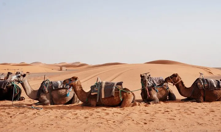 Shared 3 Days Desert Tour from Marrakech (Private Accommodations)