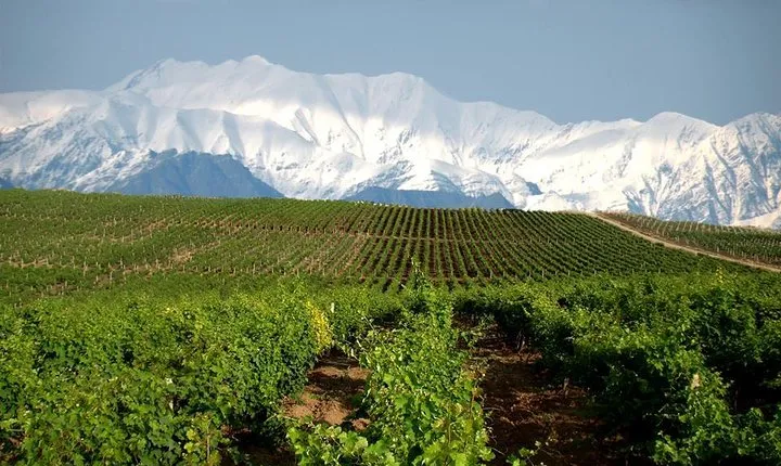 Private Wine Tour in Azerbaijan
