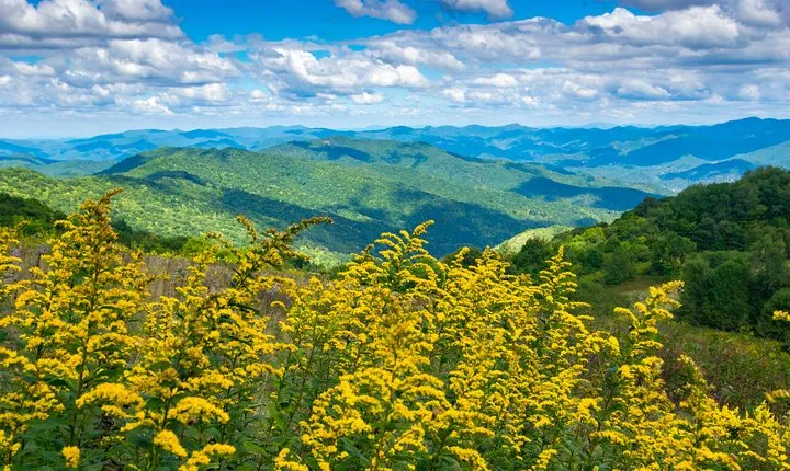 Half-Day Hike with Long Range Views from Asheville