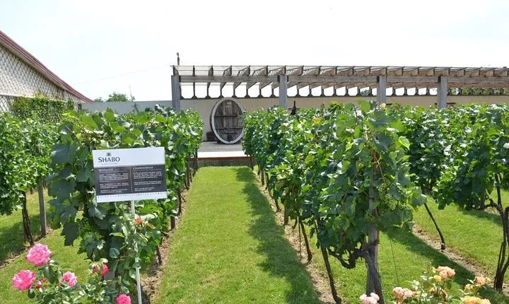Full-Day Combo Tour from Odessa: Akkerman Fortress and Shabo Wine Center with Tasting