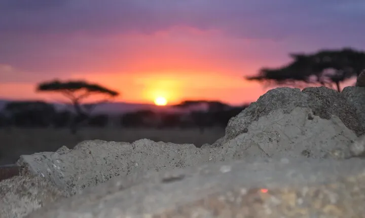 4 Day Safari- Tarangire,Ngorongoro and Serengeti