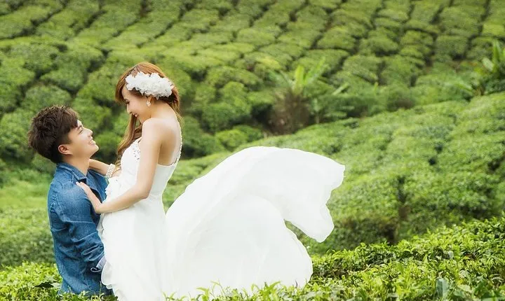 Kerala Honeymoon Special Package with Tree house and Private Houseboat