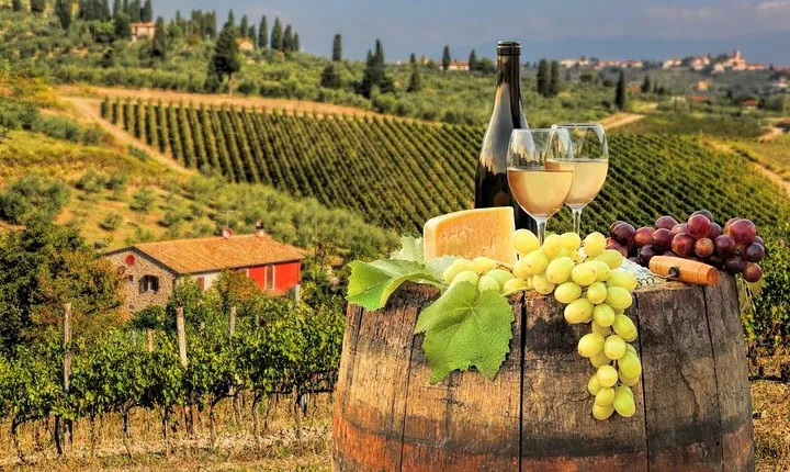 Chianti Half day Wine tour from Florence