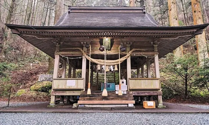 Kyushu Kamishiromi Shrine, Amano Iwato, and Takachiho Gorge Tour