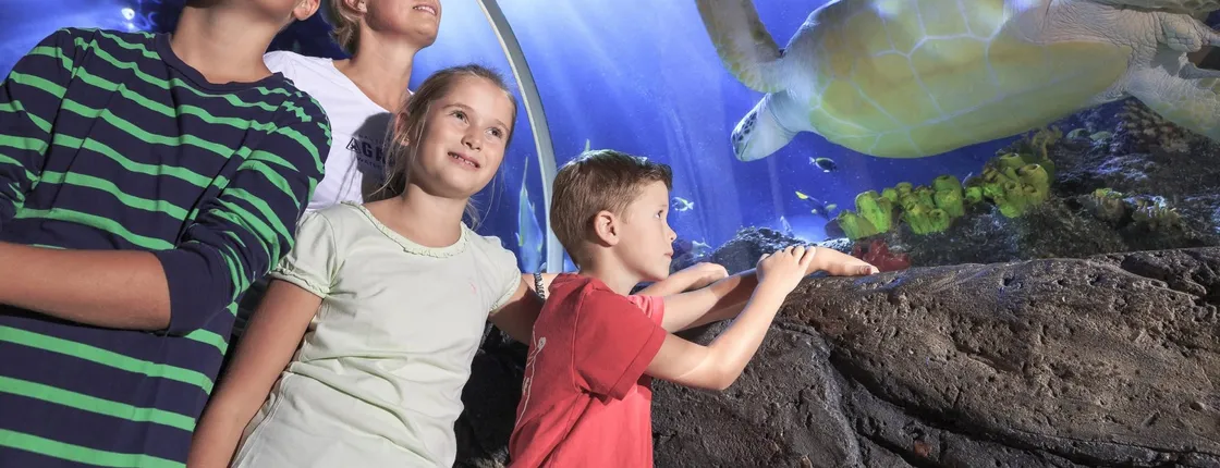 SEA LIFE Timmendorfer Strand tickets