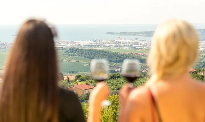 Wine Fountain Tasting Day Tour from Portoroz