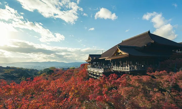 Kyoto Tour Private car Sightseeing 