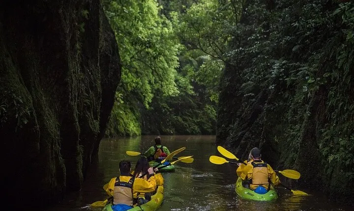 Twilight Kayak Glowworm Tour with Stargazing