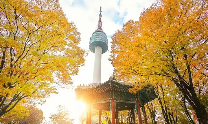 South Korea: N Seoul Tower Observatory Ticket
