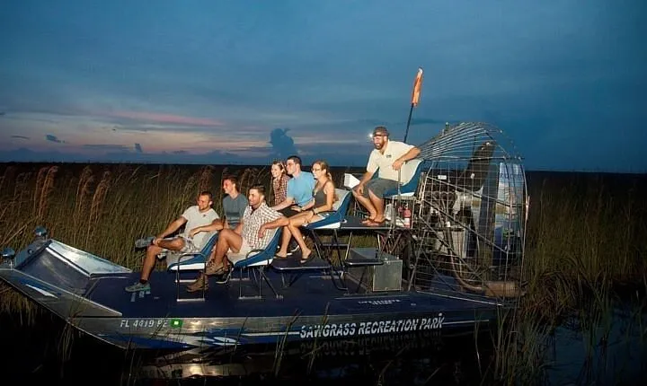 From Miami: Everglades at Night with Airboat and Alligators Tour