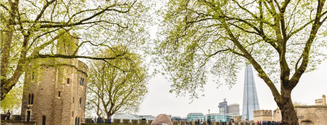 Early access Crown Jewels and Tower of London guided tour