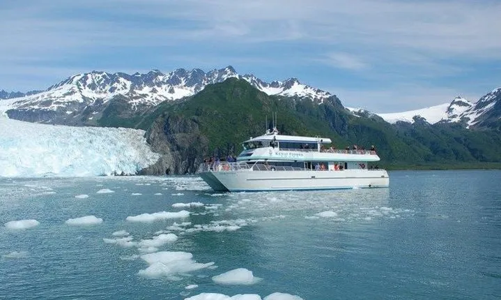 Seward Shore Excursion: Pre- or Post-Cruise Kenai Fjords National Park Tour