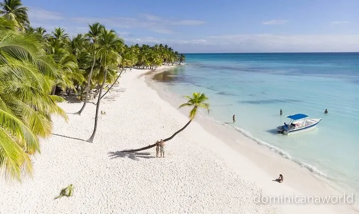 Saona Private tour with personal guide and transport from Punta Cana