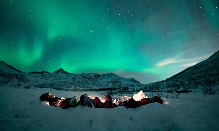 Tromsø: Aurora Hunt with Citizen Science with Wandering Owl