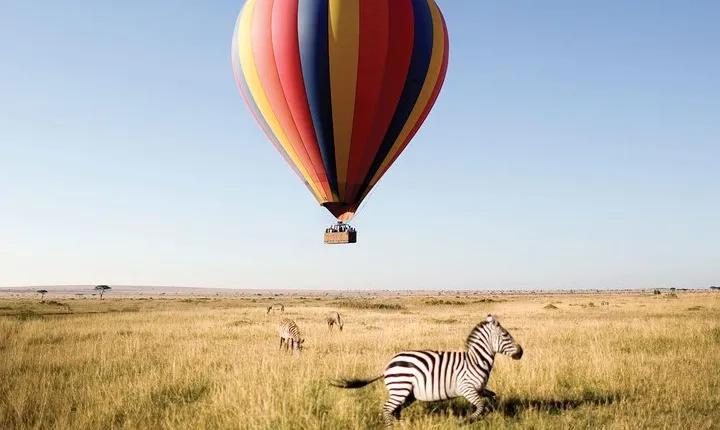 Join the Wild: 7-Day Classic Northern Tanzania +Walking Safari