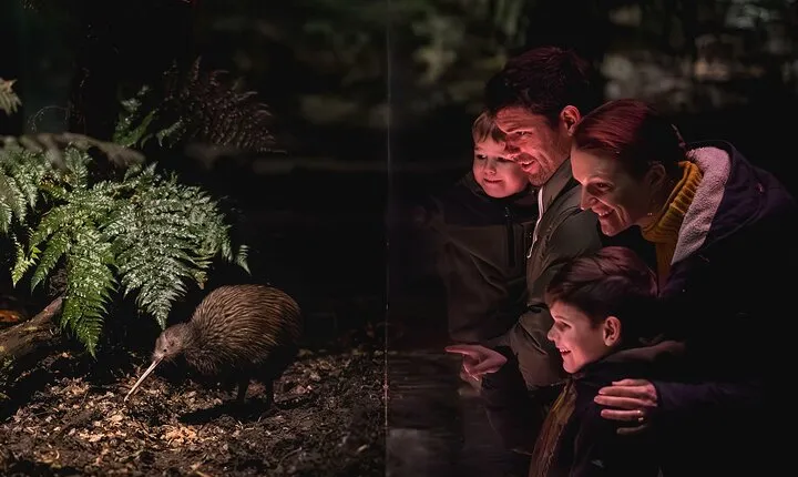 Kiwi Park Queenstown Admission