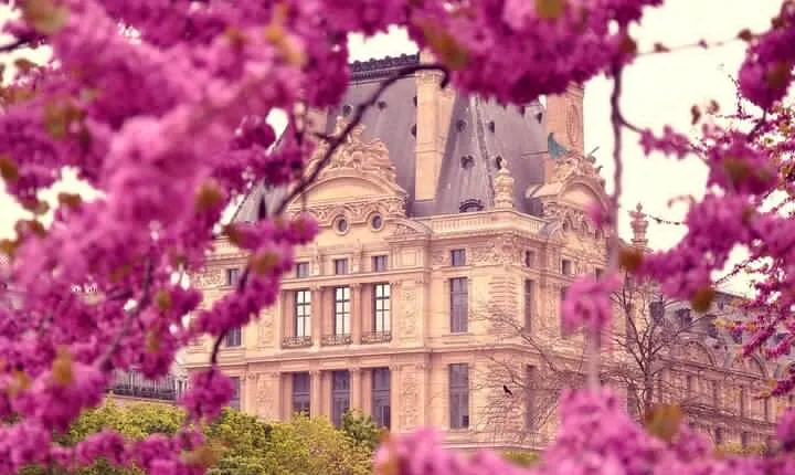 Exclusive Walking Tour of Central Paris With Local Guide