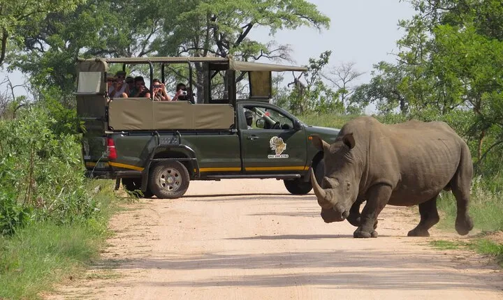 Kruger National Park sunrise Morning Private safari