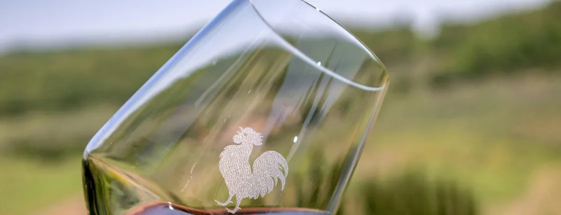 Day Tour from Florence with lunch and wine-tasting in Chianti