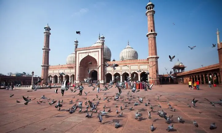 Full Day Old and New Delhi Private Tour with Guide