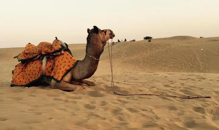 Best of Golden City "JAISALAMER" tour
