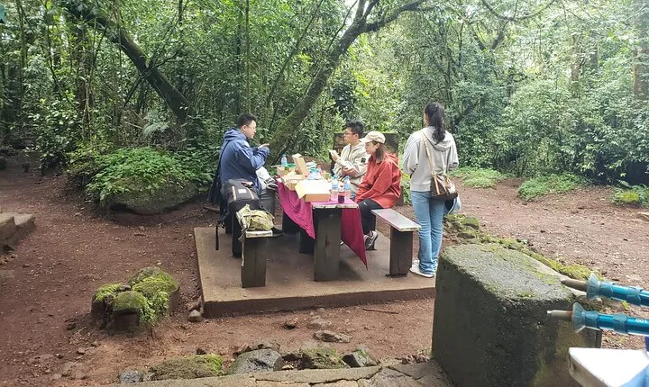 Marangu Route Day Hike on Kilimanjaro