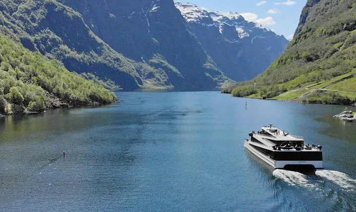 Private guided tour - Premium Nærøyfjord Cruise and Flåm Railway