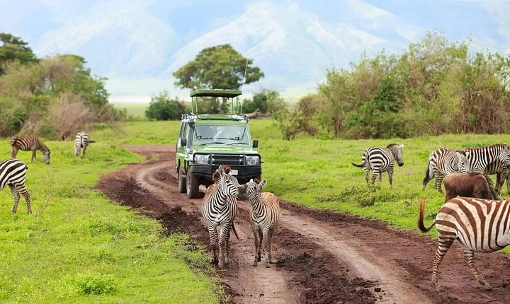 Tanzania Family Holiday; 8-Days Lodge Safari