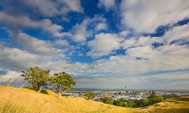 Private Auckland Volcanoes Luxury Tour