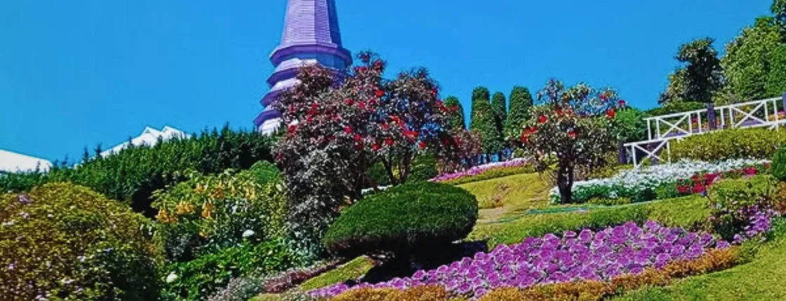 Private day trip with professional driver in Doi Inthanon
