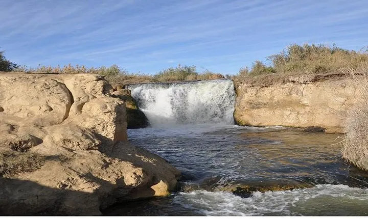 Day tour to Fayoum oasis from Cairo or Giza
