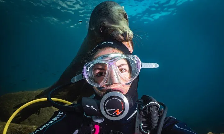 Dive in La Paz with Sea Lions, Turtles, Fish Schools and Wrecks
