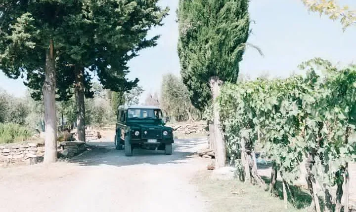 Private Off Road Wine Tour in Chianti from Florence