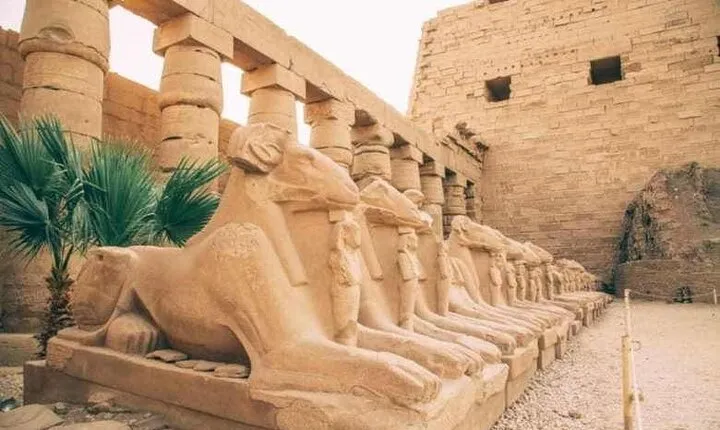 Luxor 1 Night Tours Balloon & Sound and Light Cairo show by air.