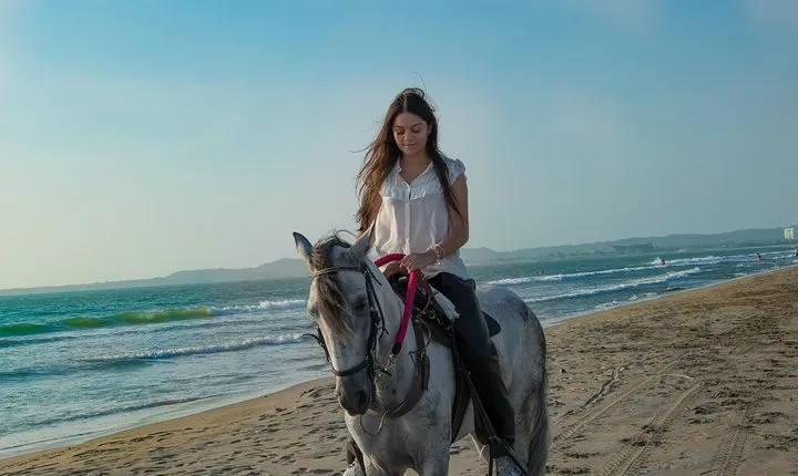 Horseback Riding Tour in Beach of Cartagena