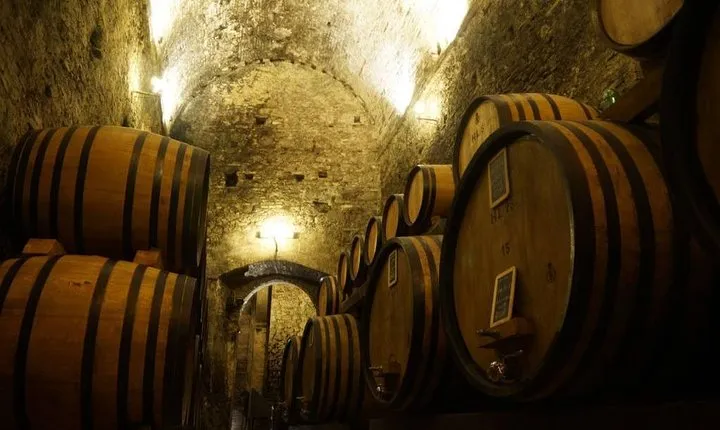 Tasting Tour in One of The Most Beautiful Cellars in the World