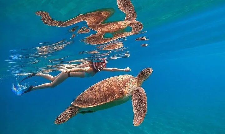 Private Abu Dabbab Snorkeling with Turtles Sea Trip - Hurghada