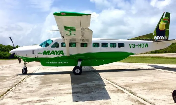 Dangriga Airport To Hopkins Village