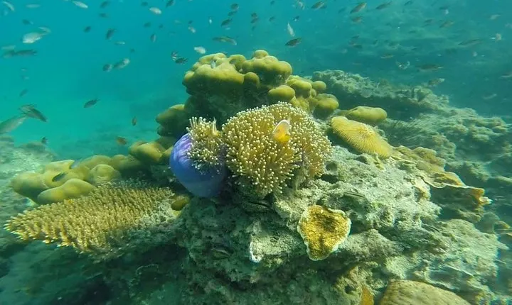 Snorkeling Tour to 4 Islands(Emerald Cave) From Koh Lanta by Speedboat