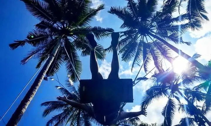 Best of Ubud with Jungle Swing