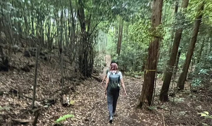 Hiking in Fushimi Inari and its 10,000 Gates