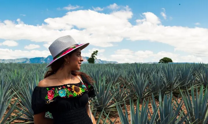 Tequila Full-Day Discovery Tour of Amatitan