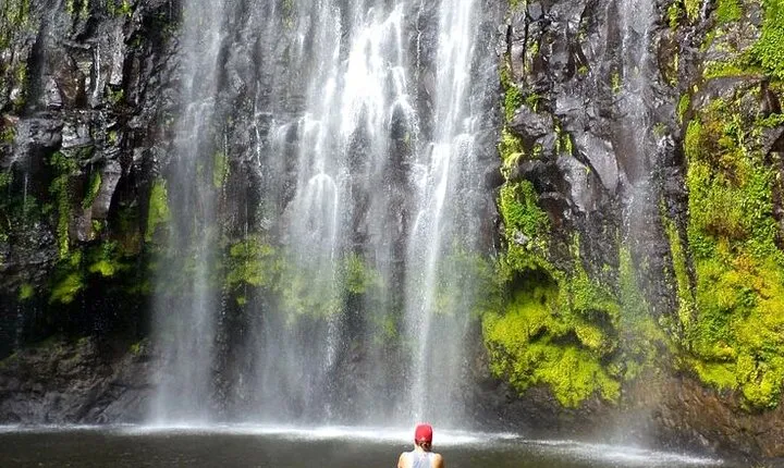 Materuni Village and Waterfalls Full Day Tour with Pickup