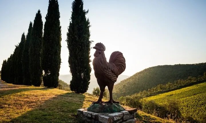 Semi Private Deep Wine Chianti and San Gimignano from Florence
